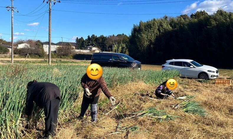 画像9024：ブログ